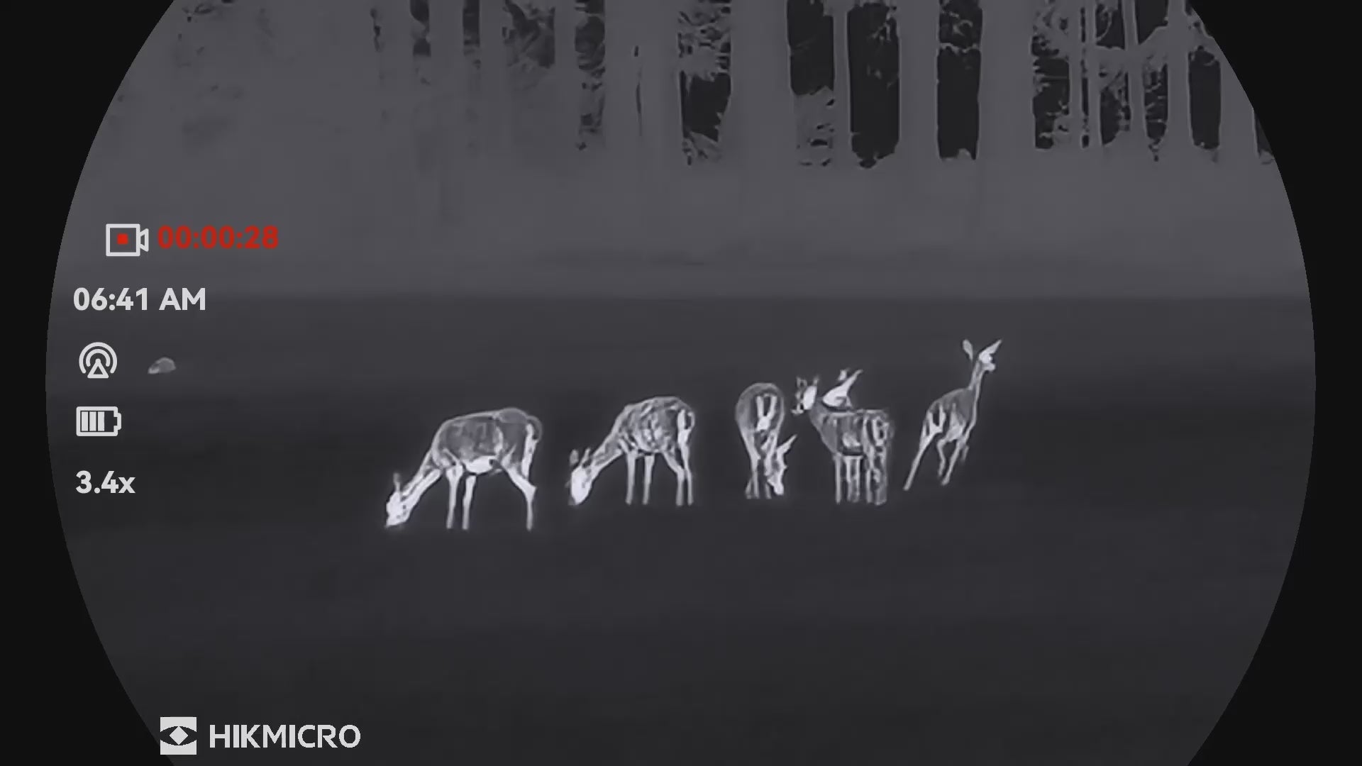 Video zu HIKMICRO Lynx LE15 3.0 Wärmebildkamera für die Jagd.