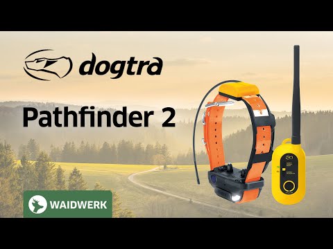 Video zum Dogtra Pathfinder 2 für Hundeortung und Hundetraining.