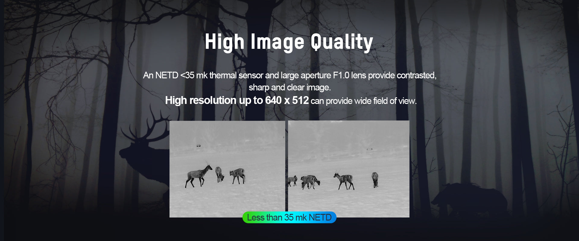 Es handelt sich hier um Aufnahmen mit Hikmicro OWL OQ35 Wärmebildkamer für die Jagd.