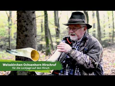 Es handelt sich hier um Video zum Ochsenhorn für Hirschruf WEISSKIRCHEN für die Jagd.